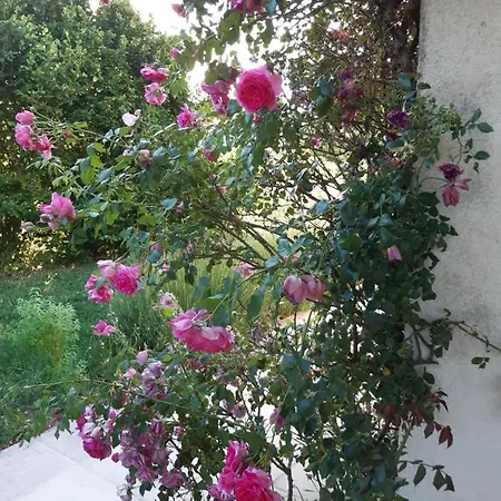 Βίλα Maison De Famille Entre Vigne Et Lavande