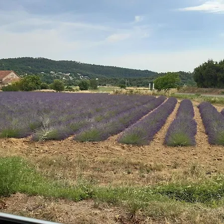 Maison De Famille Entre Vigne Et Lavande Βίλα