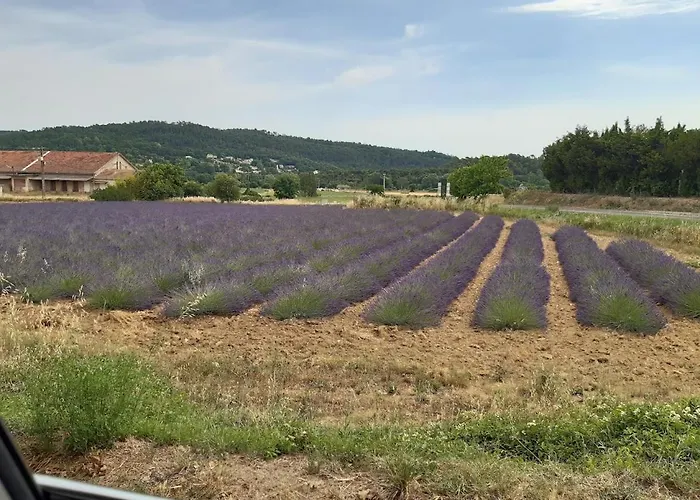 Maison De Famille Entre Vigne Et Lavande Villa